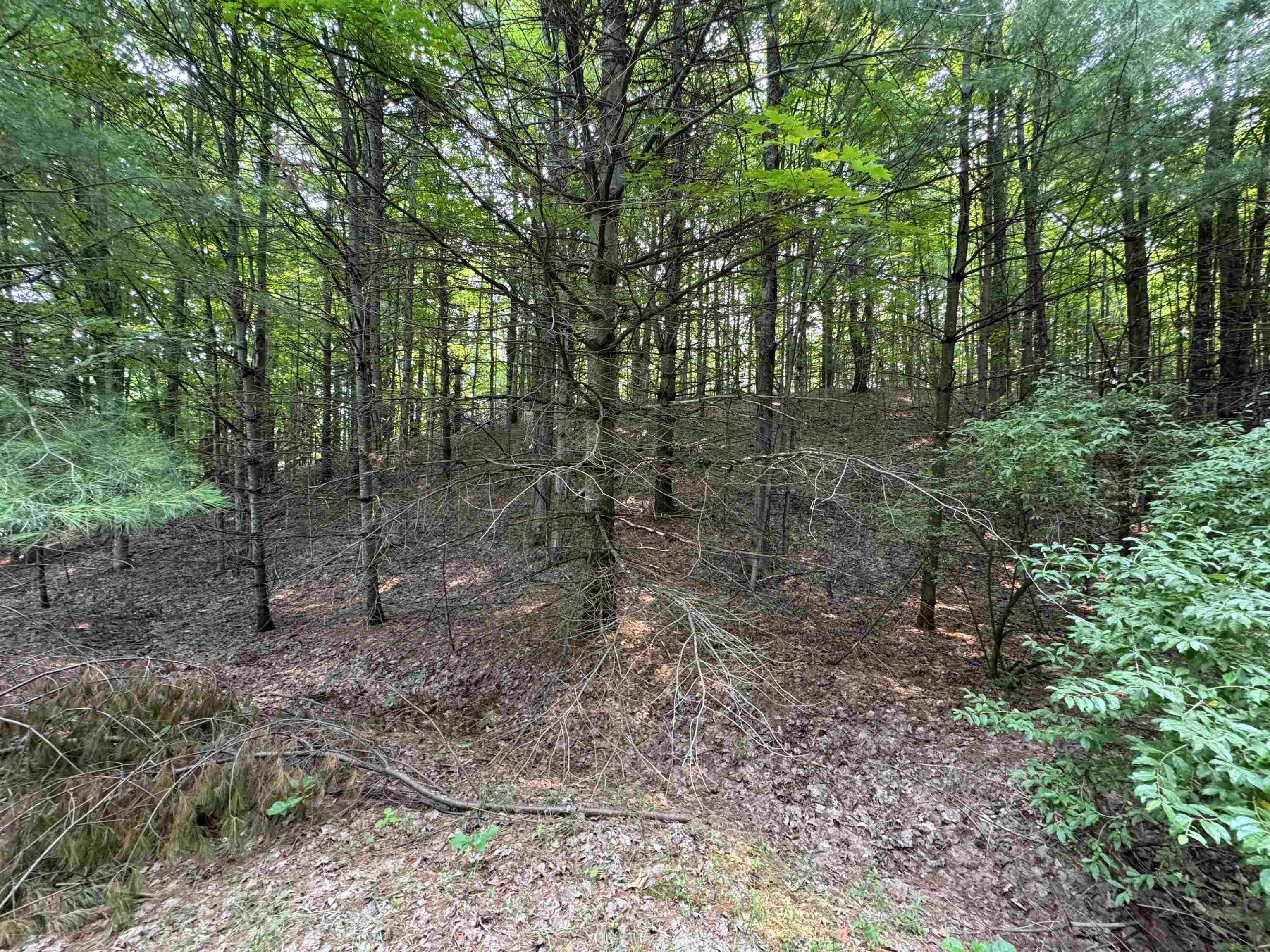 Lot #4 East Bellinger Road, Unit BELLINGER ESTATES Cedar, MI 49621 - Photo 15 of 27