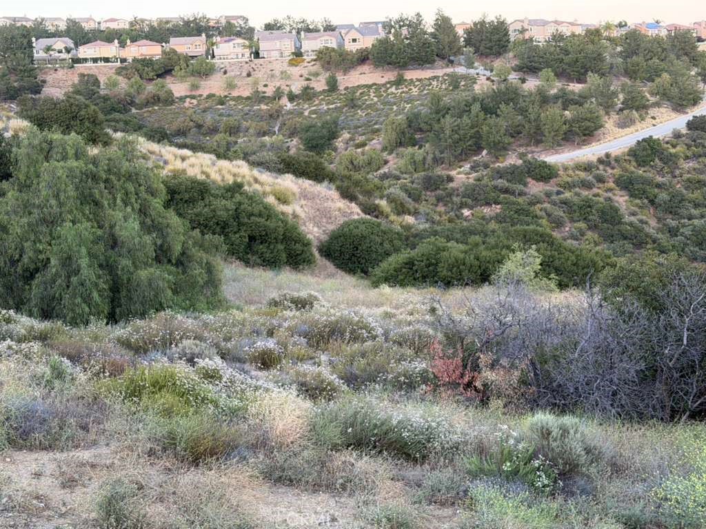 2 Coya Trail Chatsworth, CA 91311 - Photo 1 of 18 a view of a forest with a street