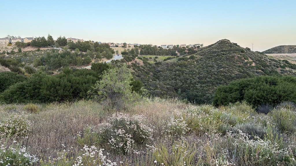 2 Coya Trail Chatsworth, CA 91311 - Photo 12 of 18 a view of a forest with a tree in the background