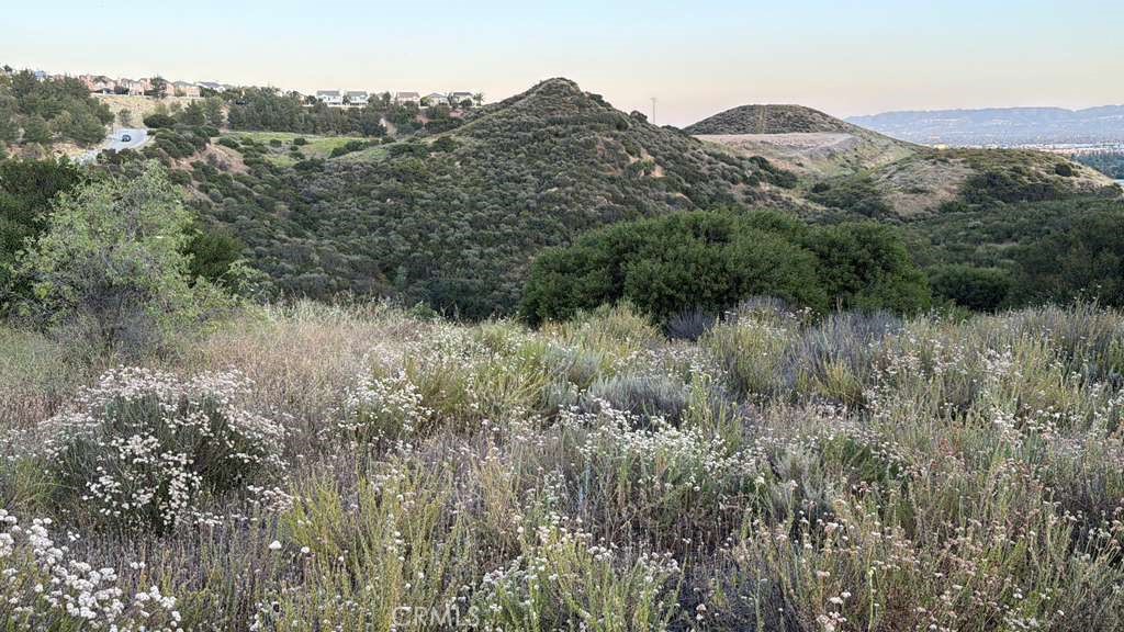 2 Coya Trail Chatsworth, CA 91311 - Photo 13 of 18 a view of a lush green forest with trees in the background
