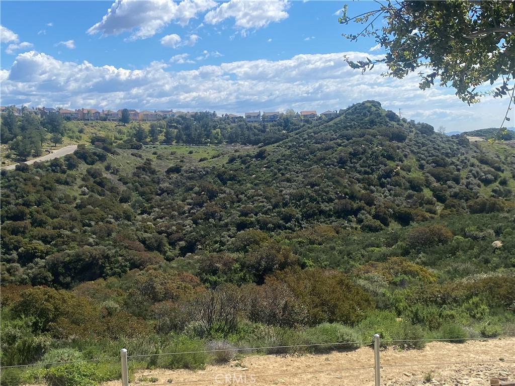 2 Coya Trail Chatsworth, CA 91311 - Photo 15 of 18 a view of a yard with a tree