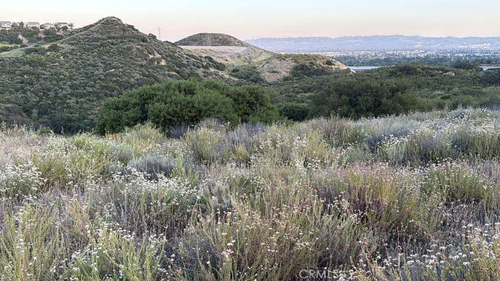 2 Coya Trail Chatsworth, CA 91311 - Photo 8 of 18 a view of a lush green forest with lush green forest
