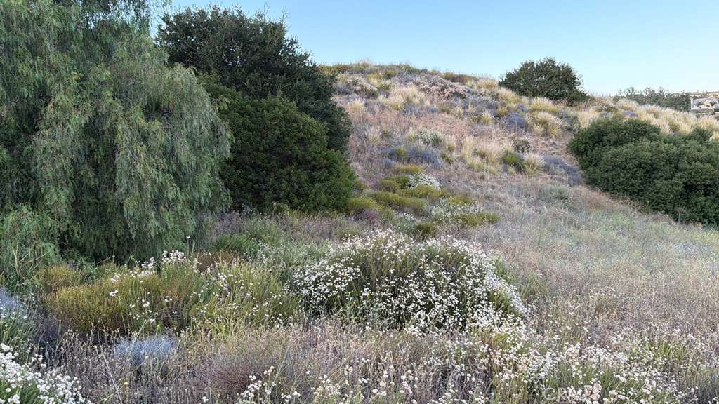 2 Coya Trail Chatsworth, CA 91311 - Photo 10 of 18 a view of a forest with a houses