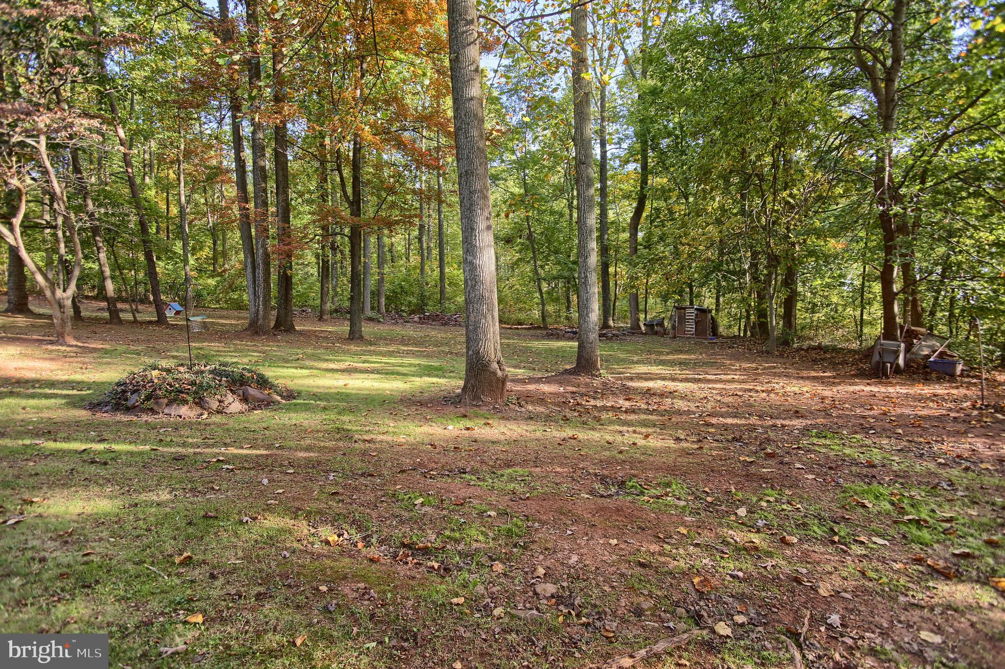 435 Buck Road Dover, PA 17315 - Photo 6 of 58 Gallery Image 6