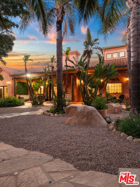 a row of palm trees next to a yard