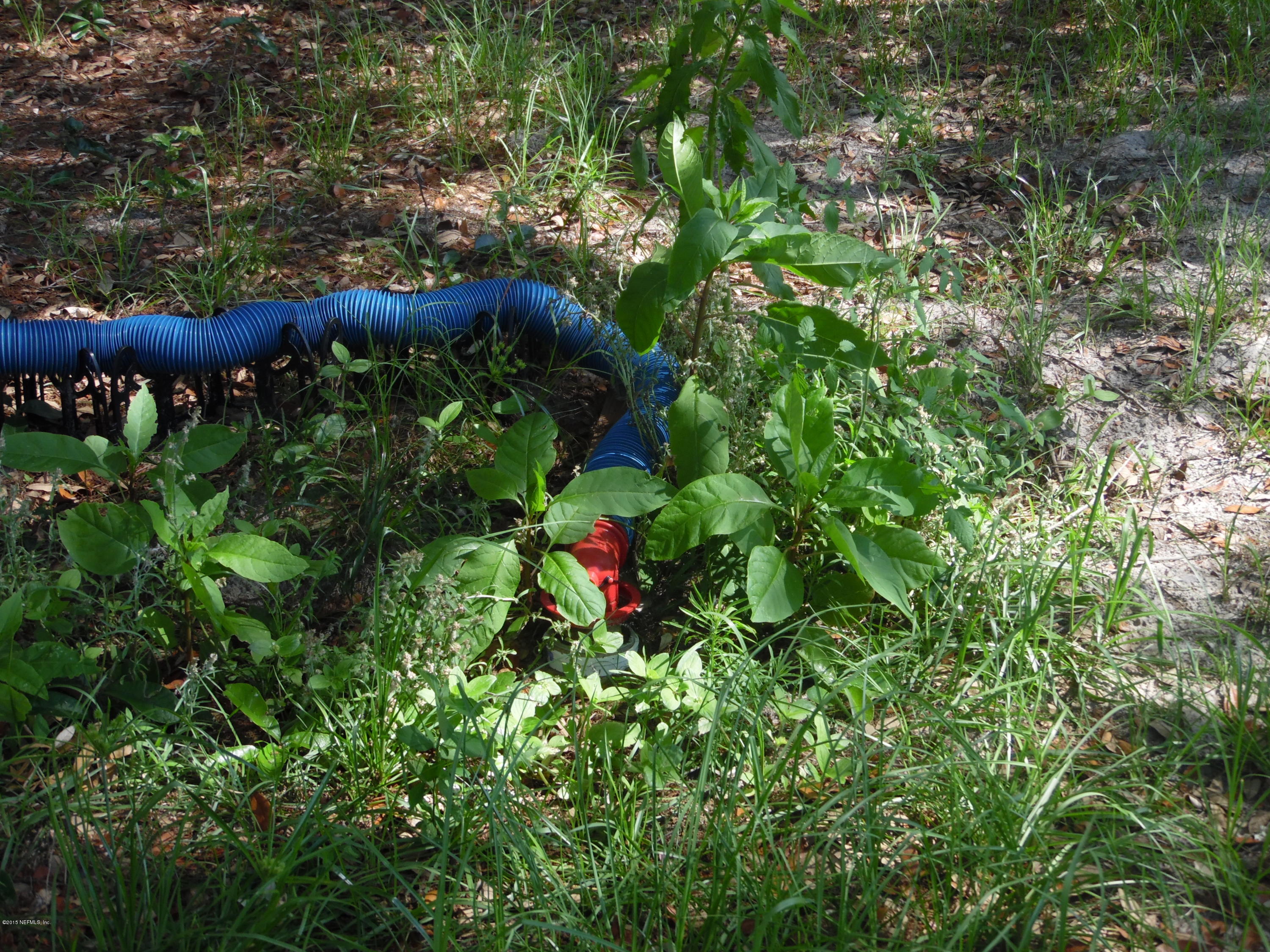 154 Ridge Lake Road Pomona Park, FL 32181 - Photo 9 of 12 septic for camp site
