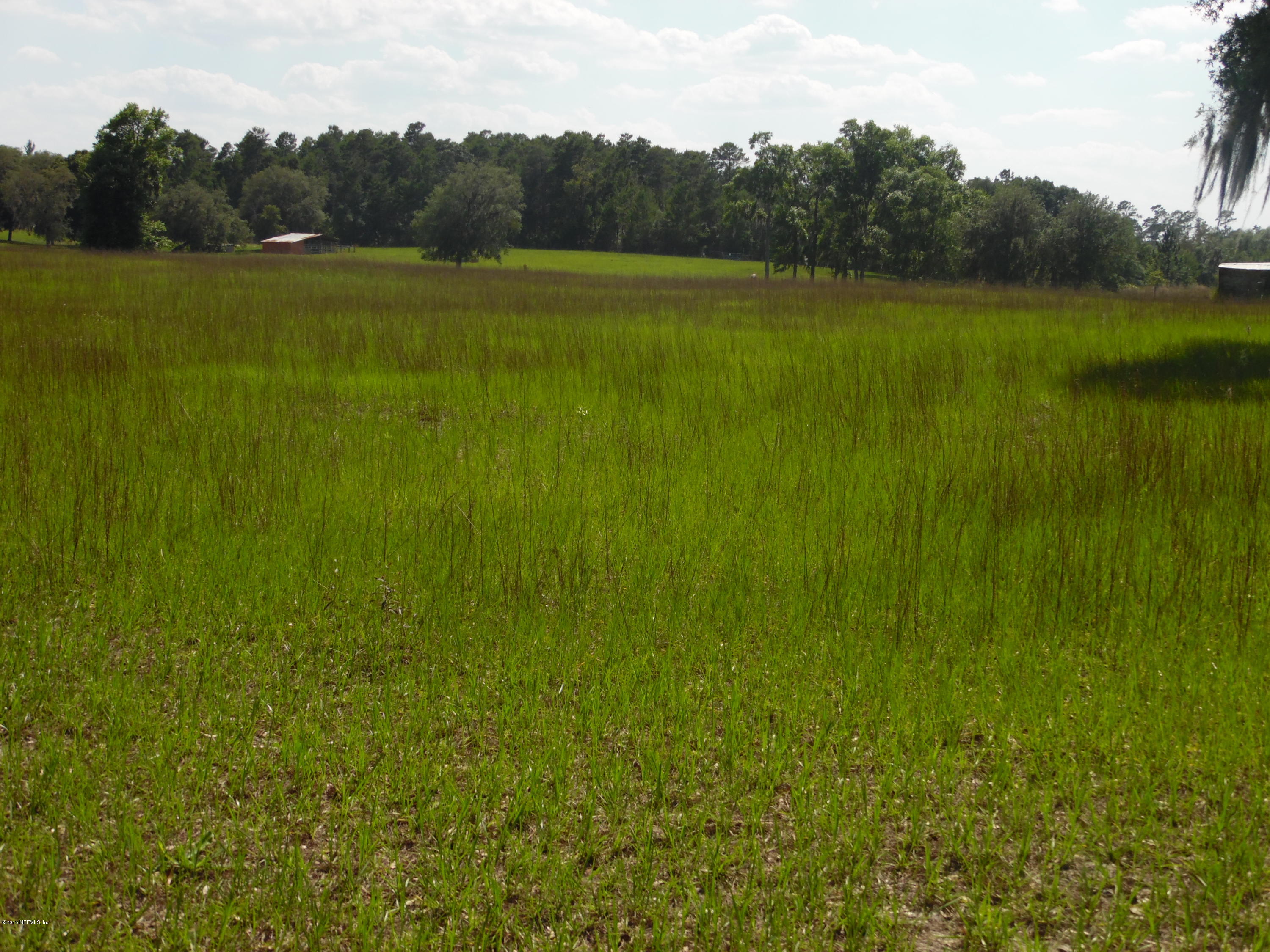 154 Ridge Lake Road Pomona Park, FL 32181 - Photo 10 of 12 View behind camp site