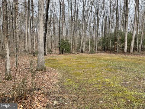 2278 Beaver Dam Road Midland, VA 22728 - Photo 13 of 99 Gallery Image 13