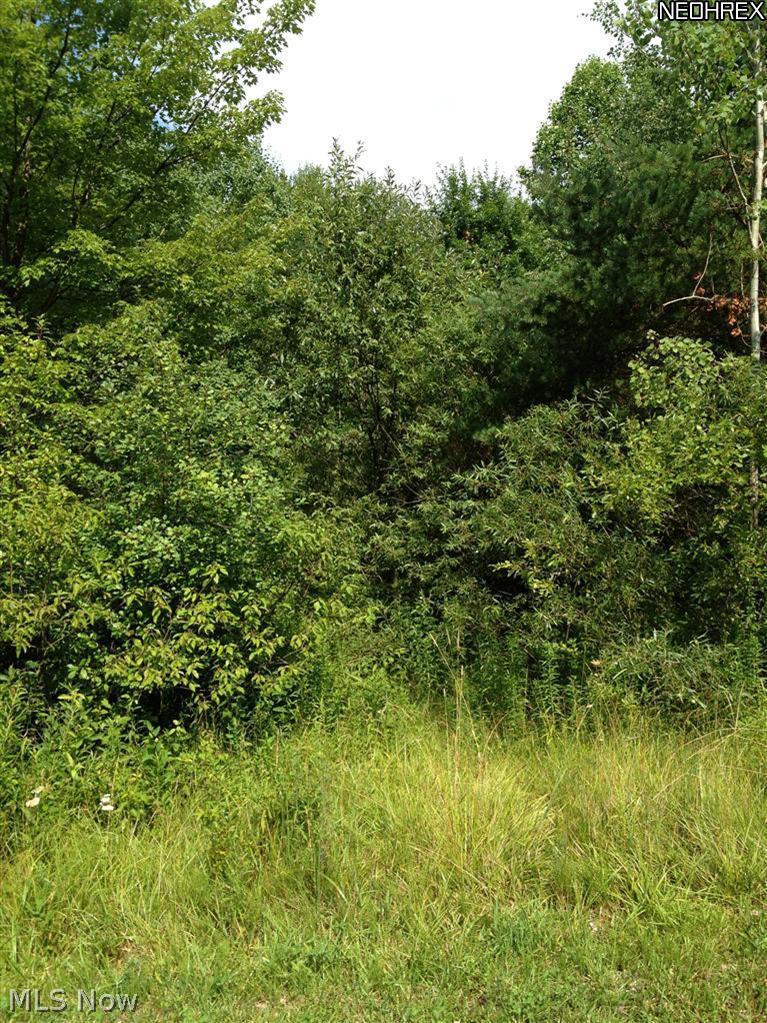 8026 Locust Road Williamsfield, OH 44093 - Photo 1 of 3