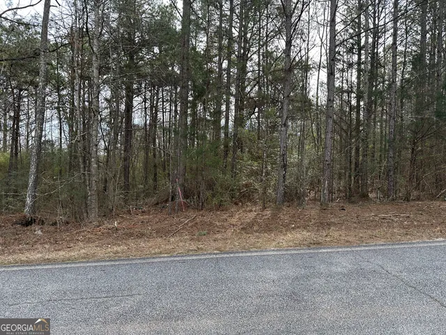 $85,075 | 0 Victory Road, Unit LOT 4, Franklin, GA 30217