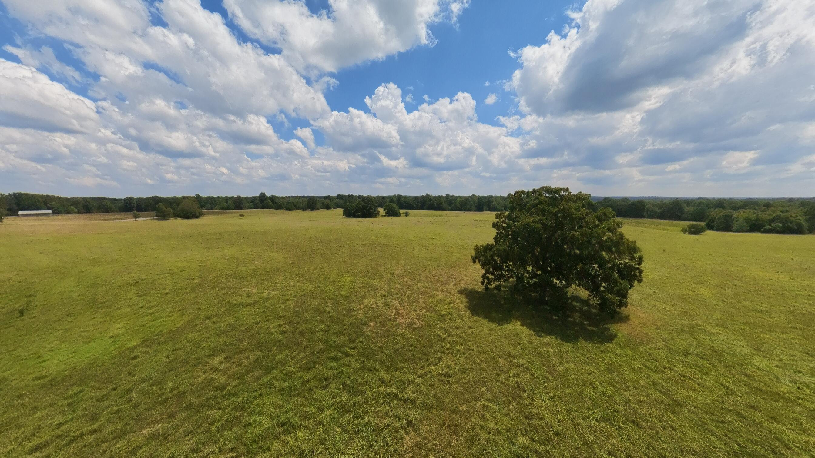 189 East Wirth Road Mammoth Spring, AR 72554 - Photo 40 of 125 160 acre ranch property052