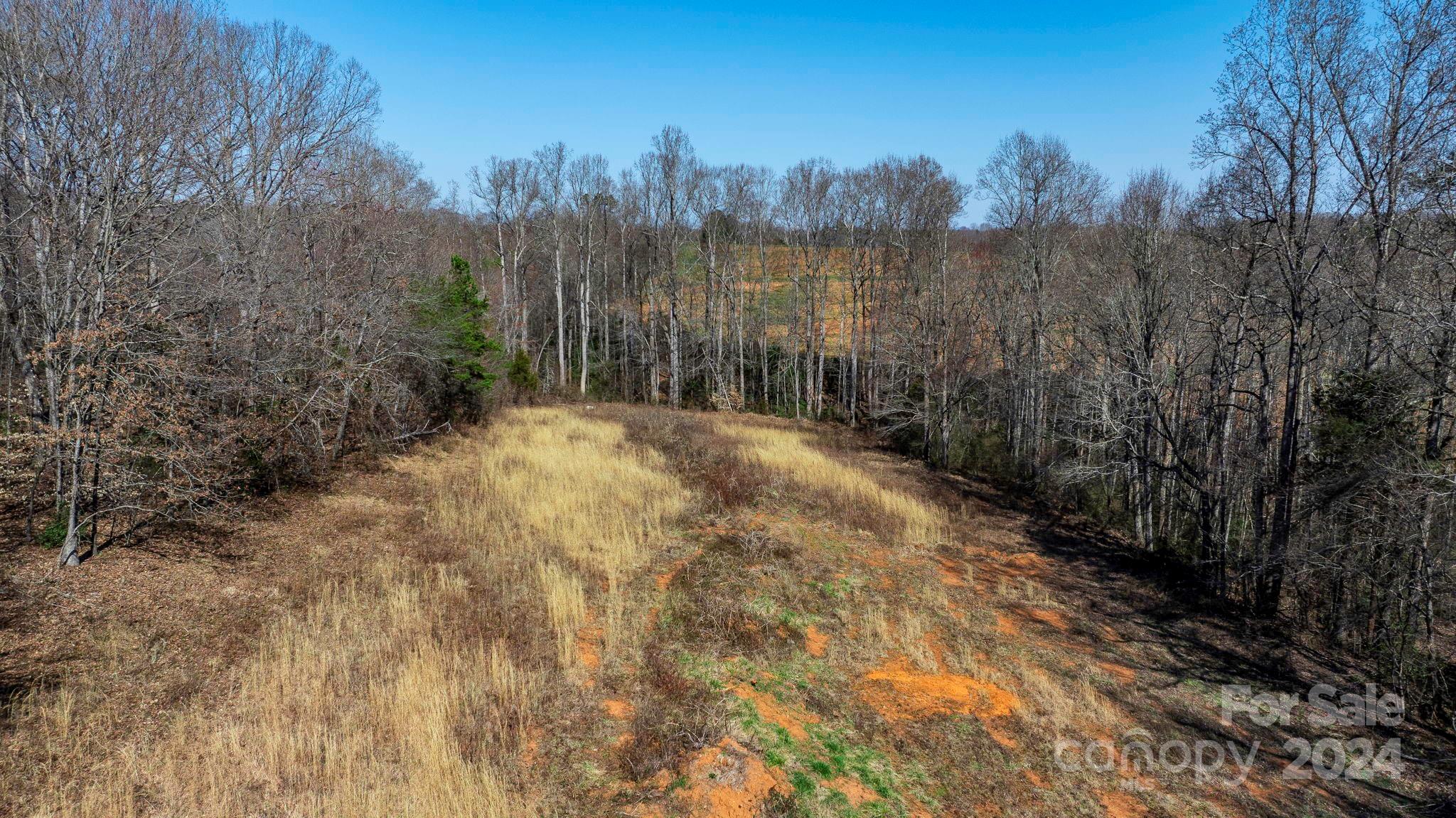 10049 Paul Payne Store Road Stony Point, NC 28678 - Photo 29 of 42 Gallery Image 29