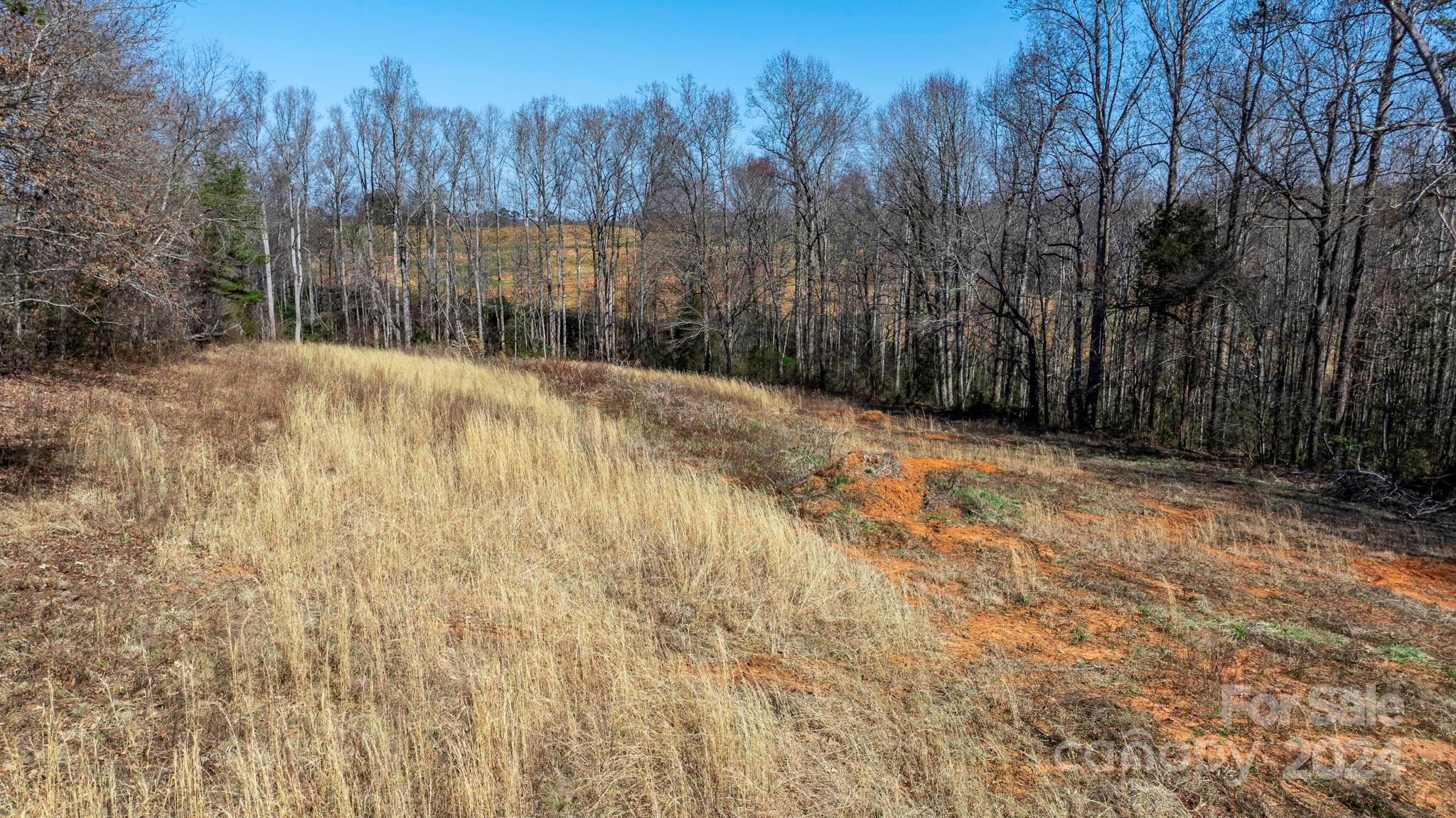 10049 Paul Payne Store Road Stony Point, NC 28678 - Photo 30 of 42 Gallery Image 30