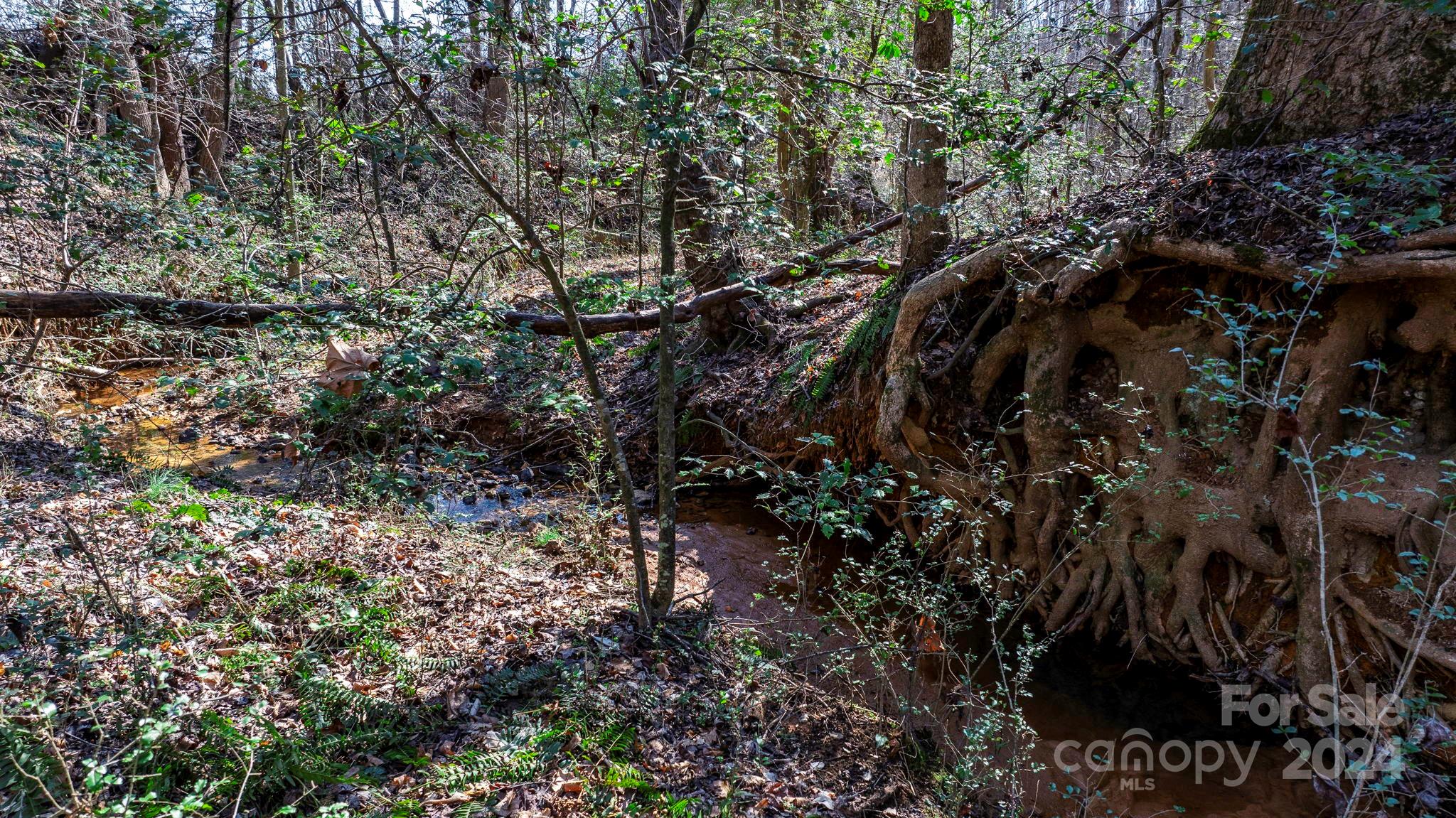 10049 Paul Payne Store Road Stony Point, NC 28678 - Photo 32 of 42 Gallery Image 32