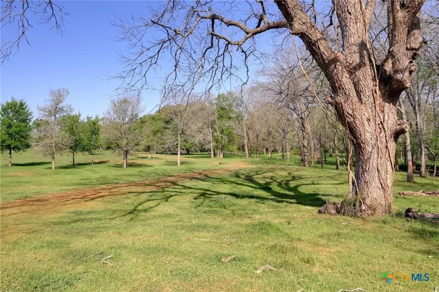 a view of a field with trees