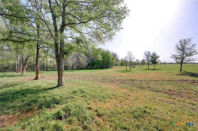a view of a park with large trees