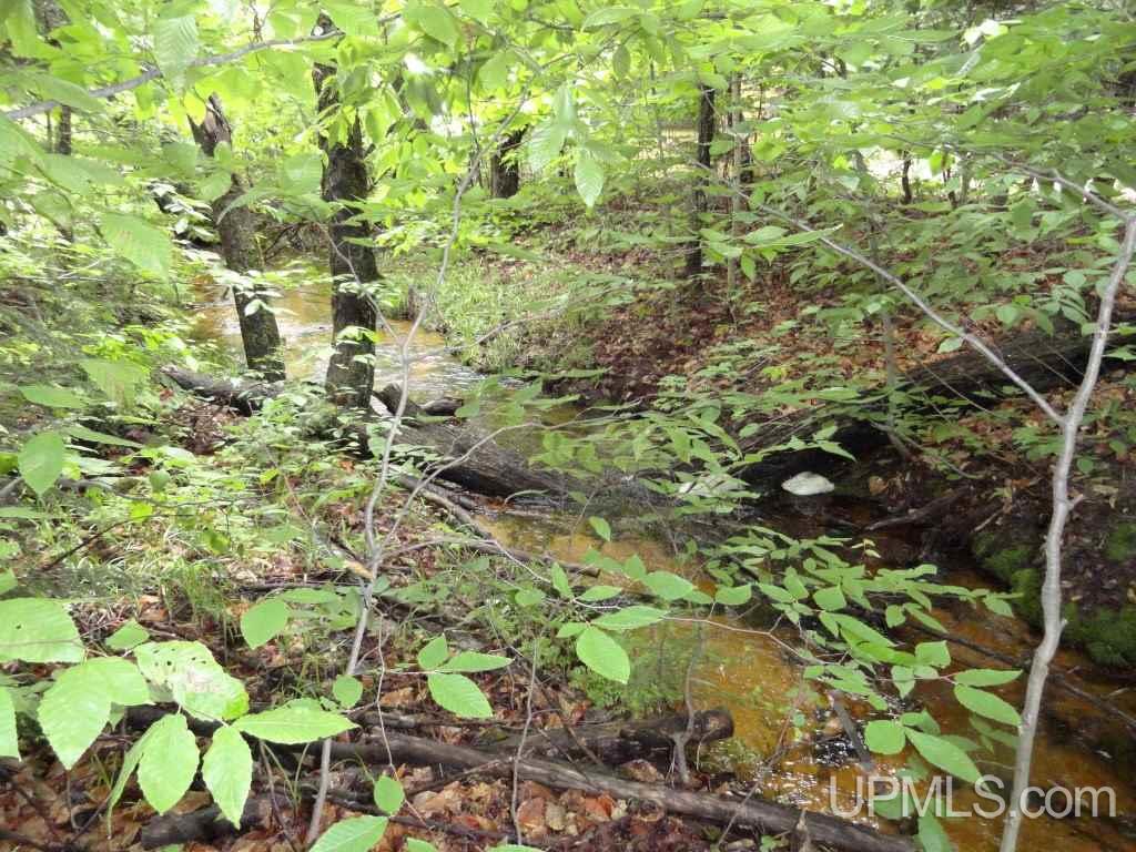 Tbd Wardles Way, Unit 1 Shingleton, MI 49884 - Photo 12 of 19