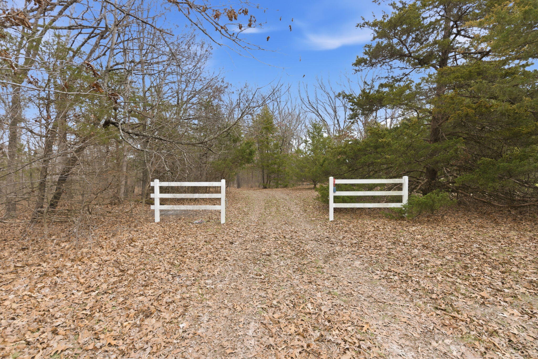 0 Turtle Tracks Road Fair Grove, MO 65648 - Photo 1 of 1 2-web-or-mls-_DSC3472