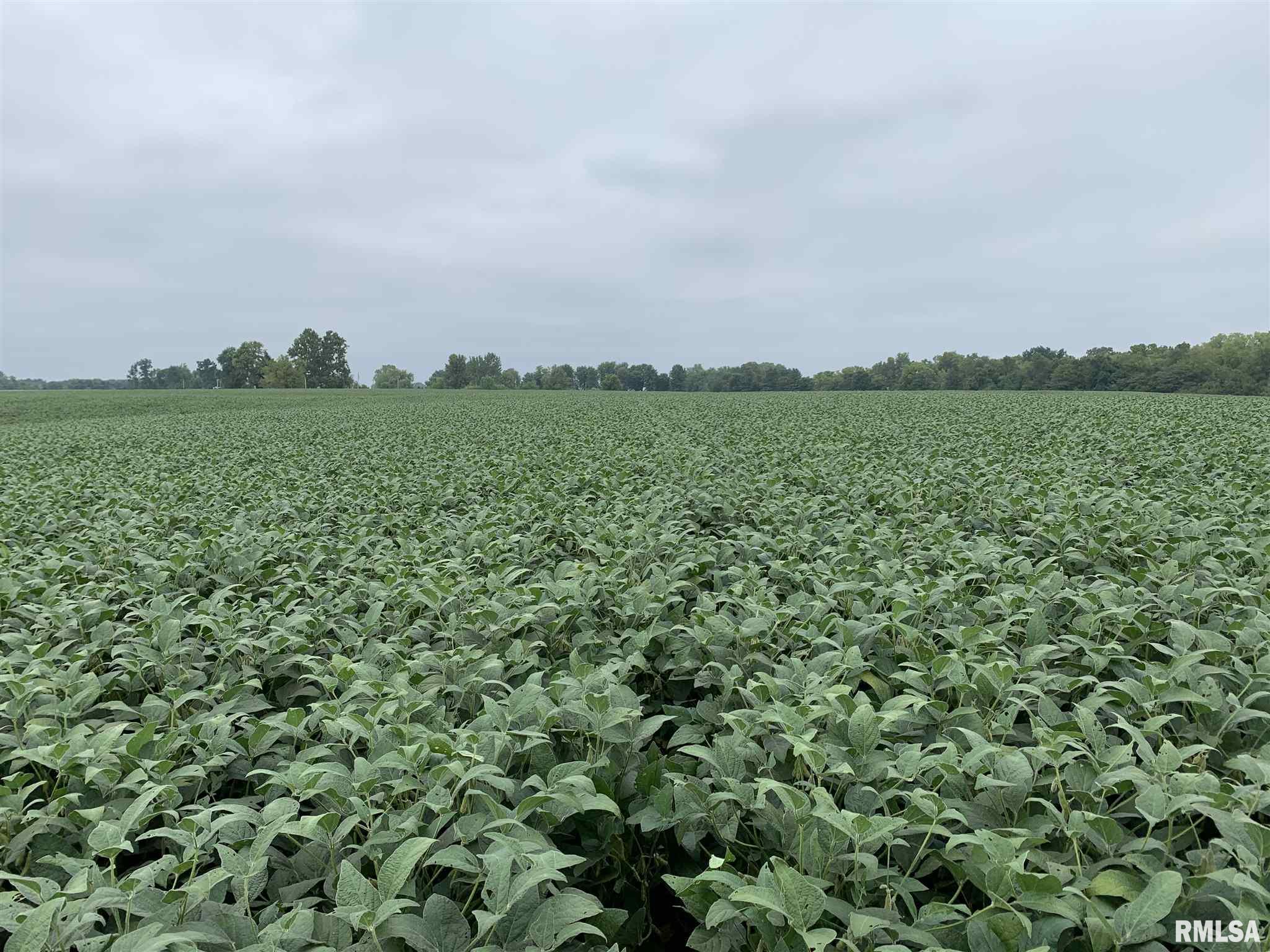 West Baldwin Road Jacksonville, IL 62650 - Photo 3 of 5 Gallery Image 3