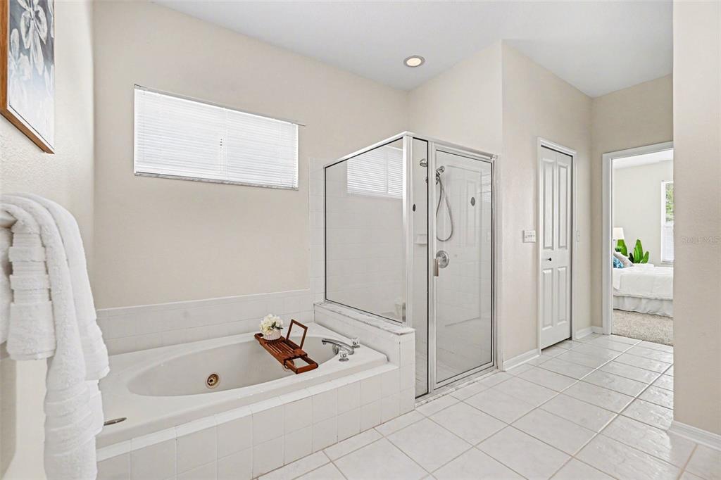 30631 Nickerson Loop Wesley Chapel, FL 33543 - Photo 28 of 33 a bathroom with a tub a shower and a sink
