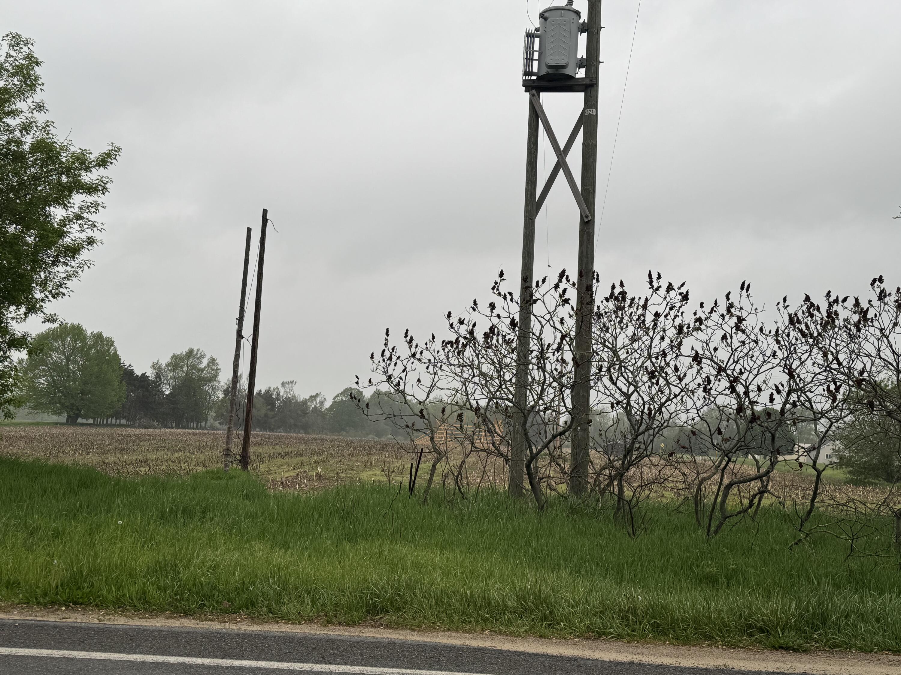 V/l McKinley Road Big Rapids, MI 49307 - Photo 2 of 4 IMG_6684