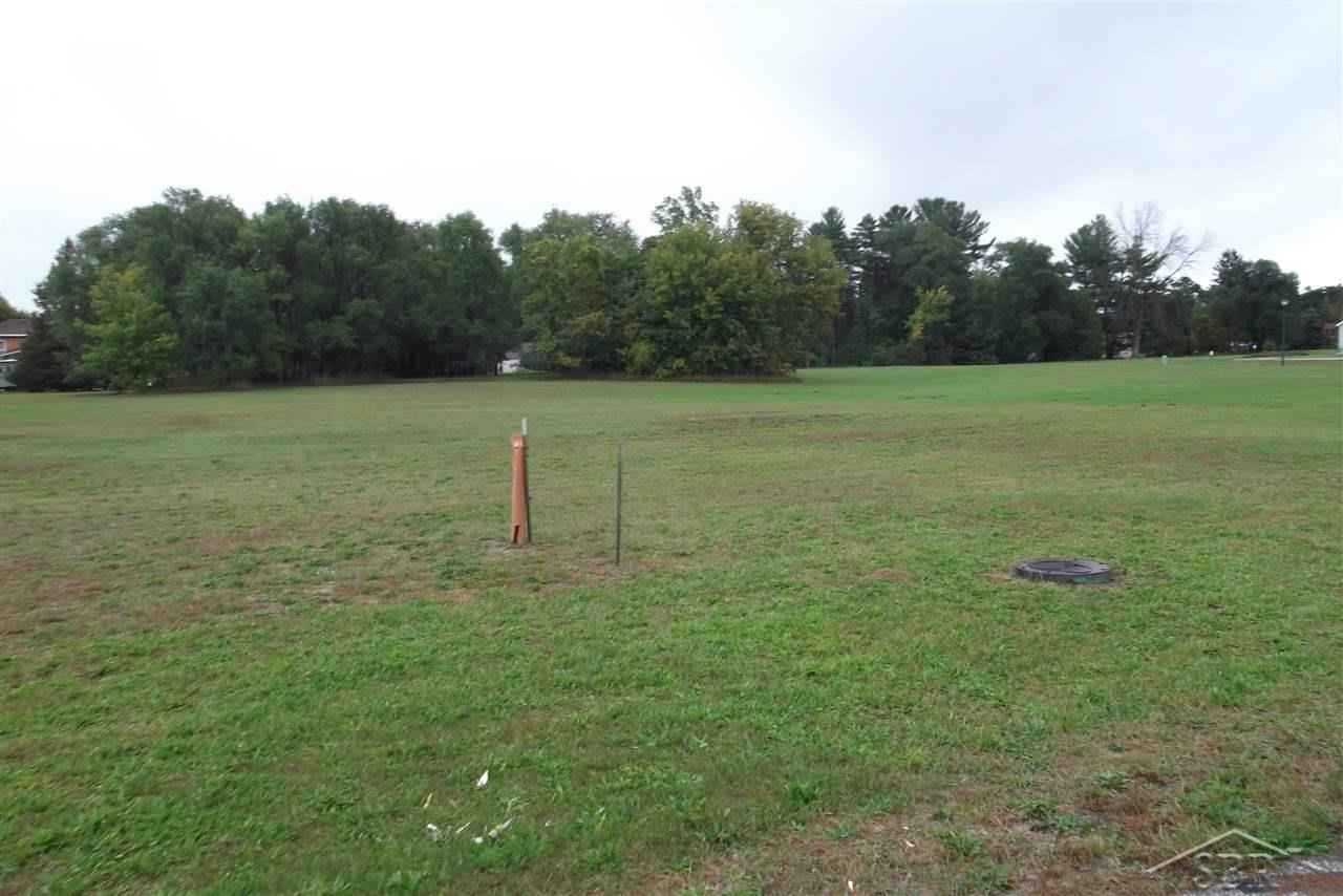 0 Adam Ridge Drive Sebewaing, MI 48759 - Photo 4 of 6