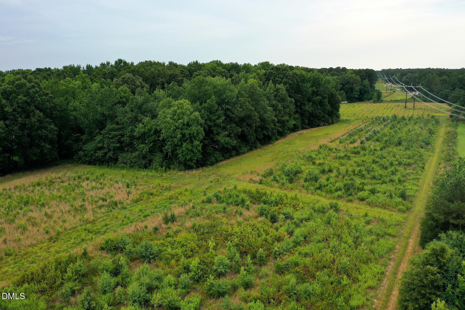 19.2-acres Bunnlevel Erwin Road Erwin, NC 28339 - Photo 23 of 34 23 Paras 19.3 Acres Bunnlevel Erwin Rd