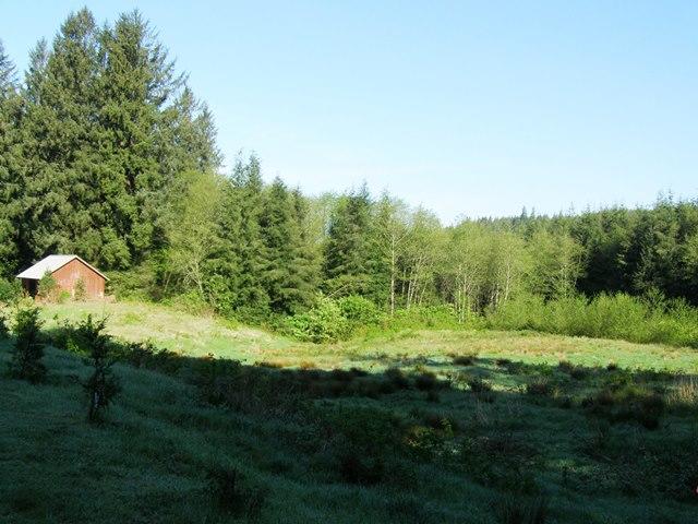Tl#605 Latimer Road North Tillamook, OR 97141 - Photo 4 of 28 P5021219