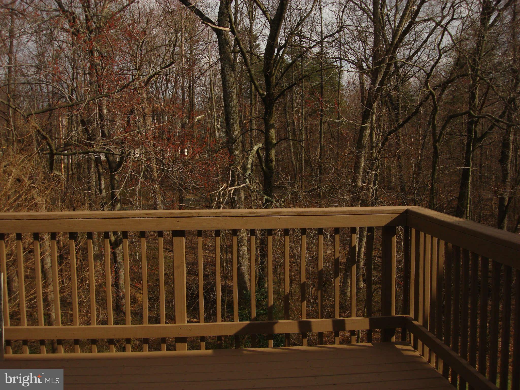 1546 Poplar Grove Drive Reston, VA 20194 - Photo 2 of 19 View