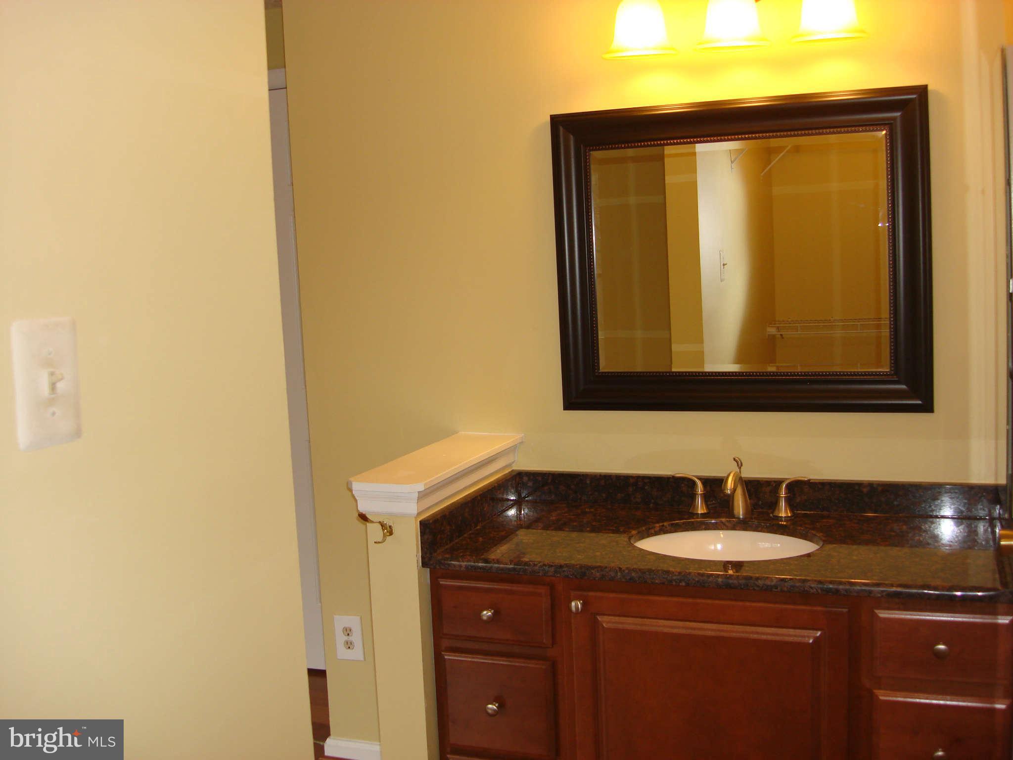 1546 Poplar Grove Drive Reston, VA 20194 - Photo 11 of 19 Bath (Master)