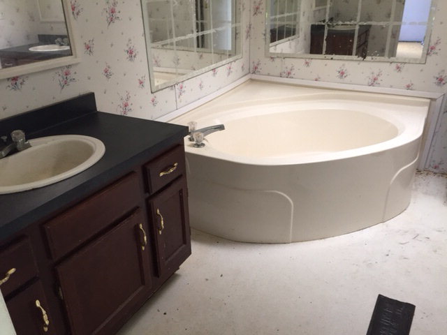 2355 Hortman Mill Road Roberta, GA 31078 - Photo 8 of 9 a bathroom with a sink and a mirror