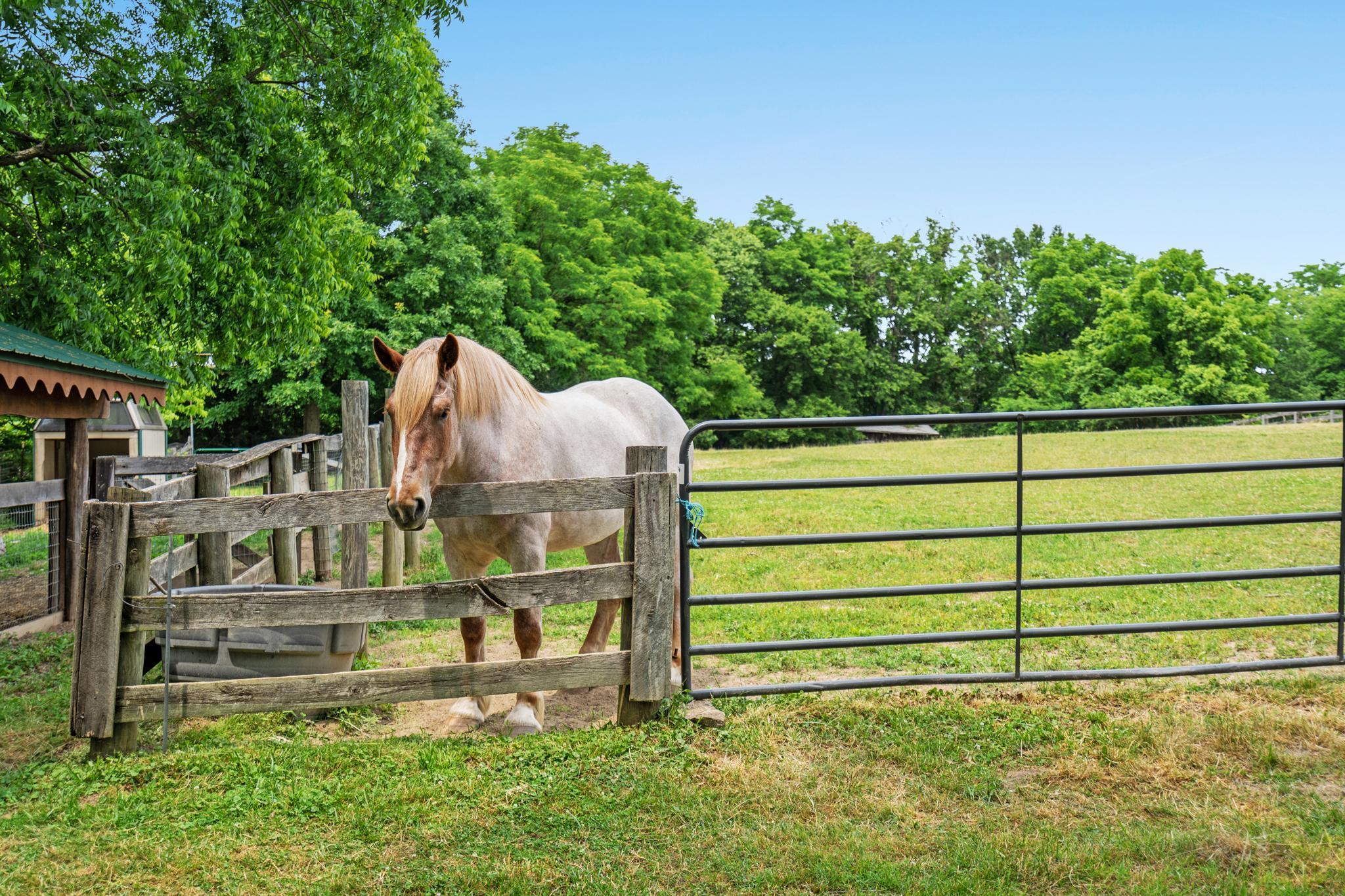 4690 Setters Road Union, KY 41091 - Photo 40 of 50 Gallery Image 40