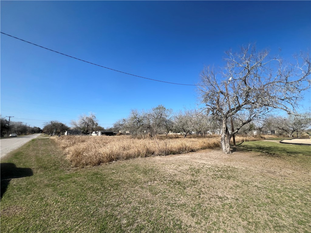 Tbd Tbd Marigold Avenue Mathis, TX 78368 - Photo 12 of 12