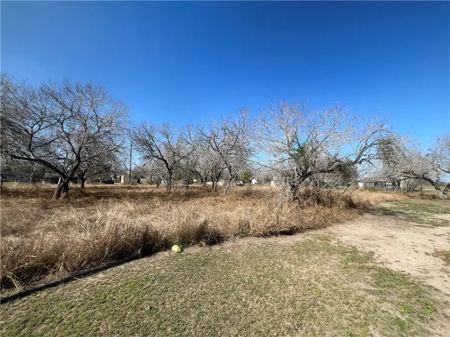 $29,000 | Tbd Tbd Marigold Avenue, Mathis, TX 78368