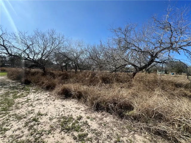 $29,000 | Tbd Tbd Marigold Avenue, Mathis, TX 78368