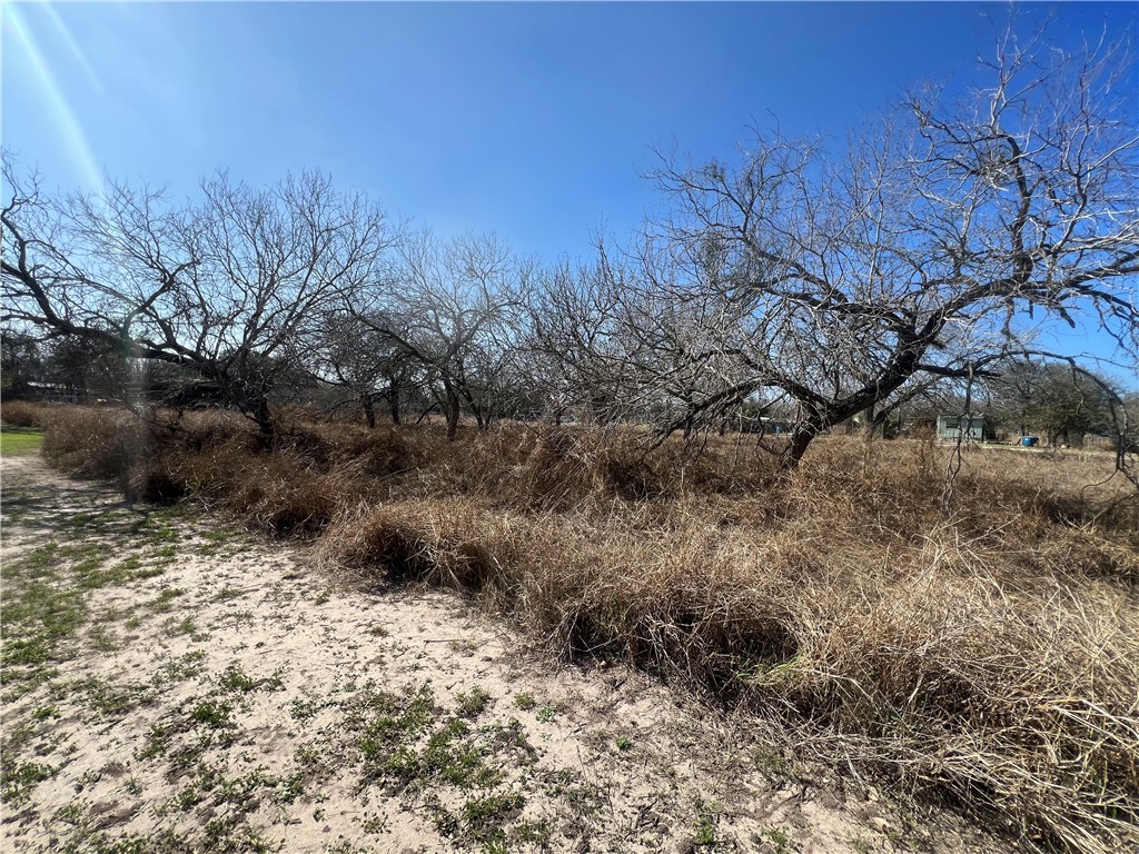 Tbd Tbd Marigold Avenue Mathis, TX 78368 - Photo 10 of 12