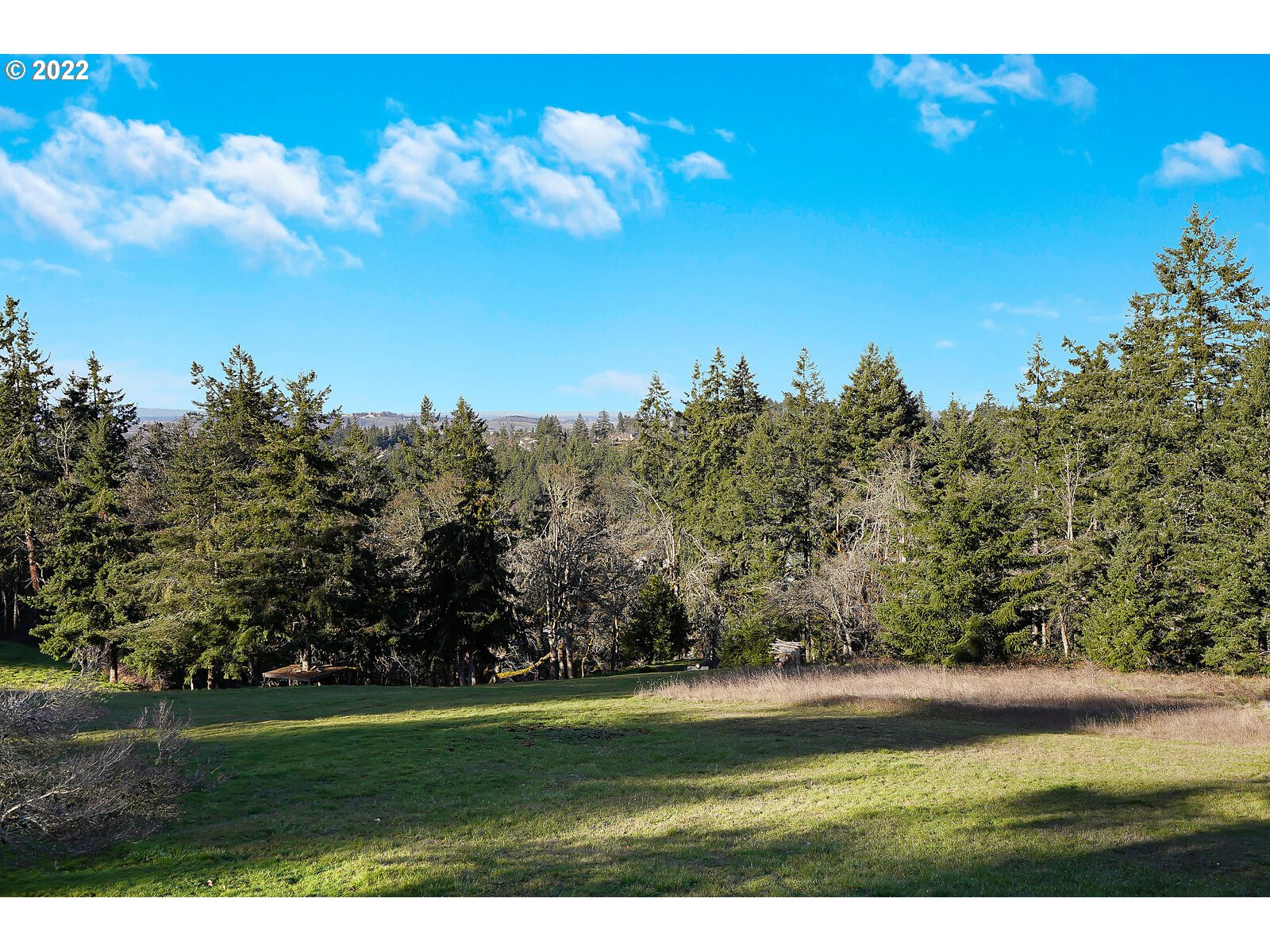 4260 Victor Point Road Northeast Silverton, OR 97381 - Photo 26 of 32 a view of a golf course