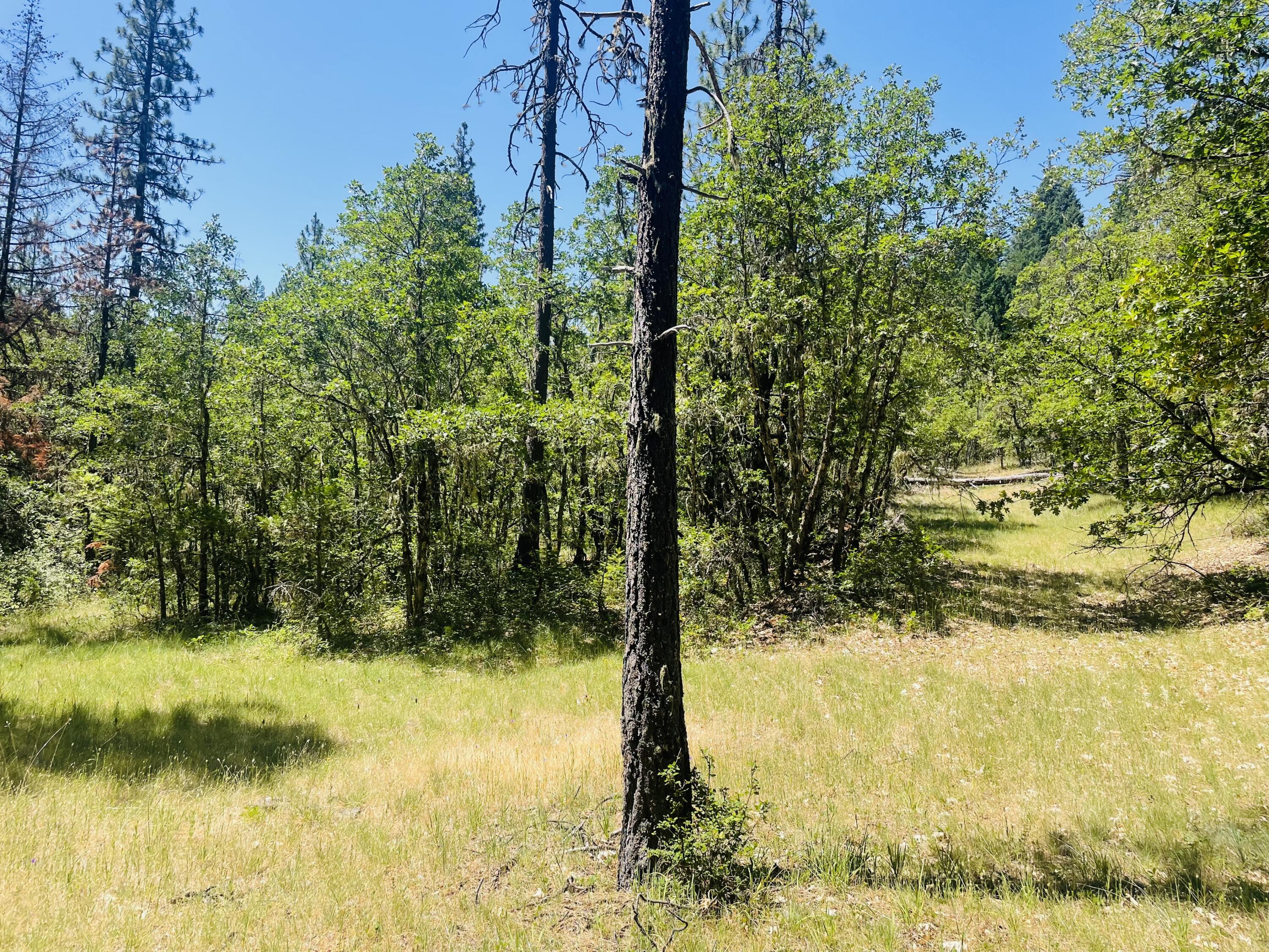 826 Ulrich Road Prospect, OR 97536 - Photo 2 of 13 IMG_3627