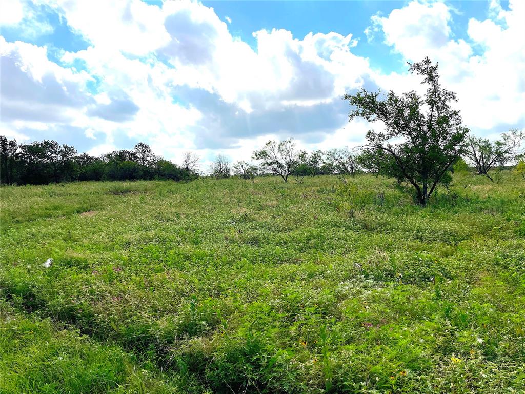 11020 Highway 281 Perrin, TX 76486 - Photo 22 of 22