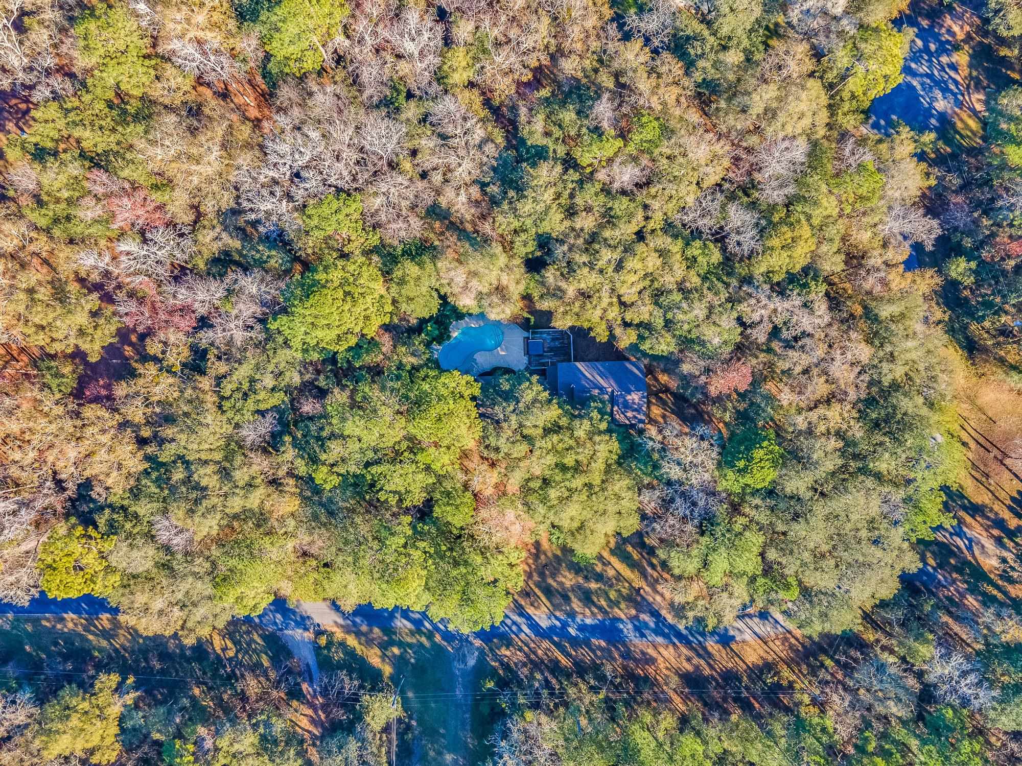 9084 Ravena Road Tallahassee, FL 32309 - Photo 8 of 36