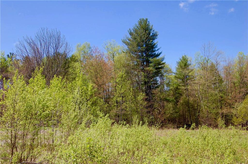 0 Waters Hill Road Livermore, ME 04253 - Photo 8 of 10 Photo