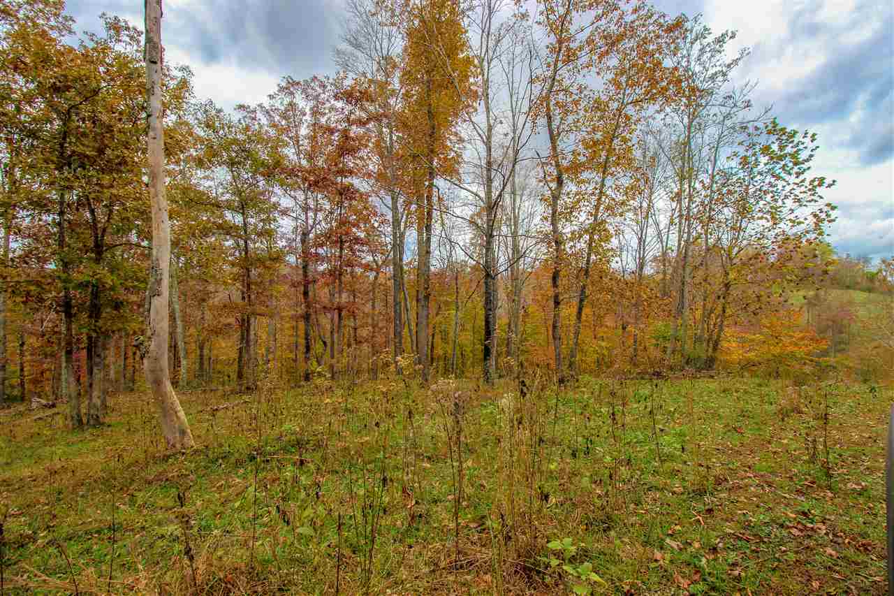 251 Adkins Ridge Road Branchland, WV 25506 - Photo 15 of 17 Gallery Image 15