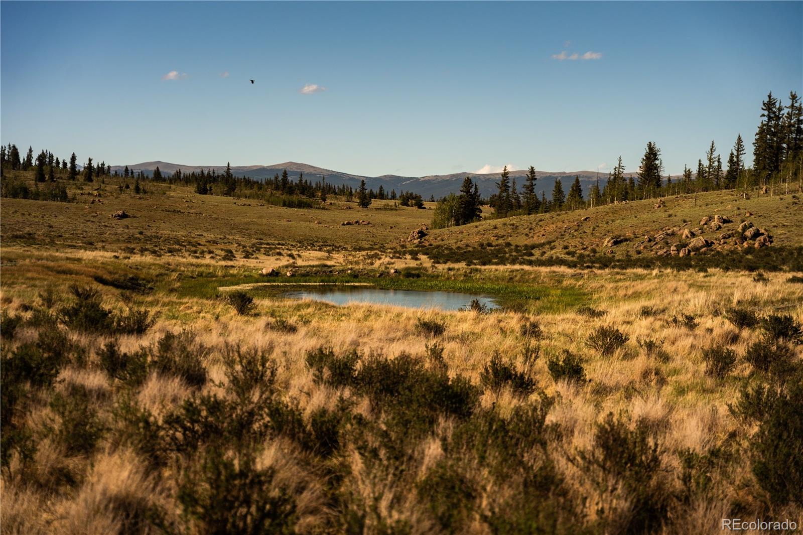 1280 Antler Ridge Road Como, CO 80432 - Photo 44 of 50
