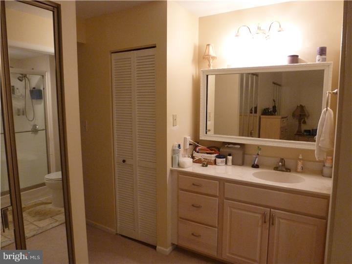 2914 State Hill Road, Unit D1 Wyomissing, PA 19610 - Photo 11 of 21 Master Bathroom