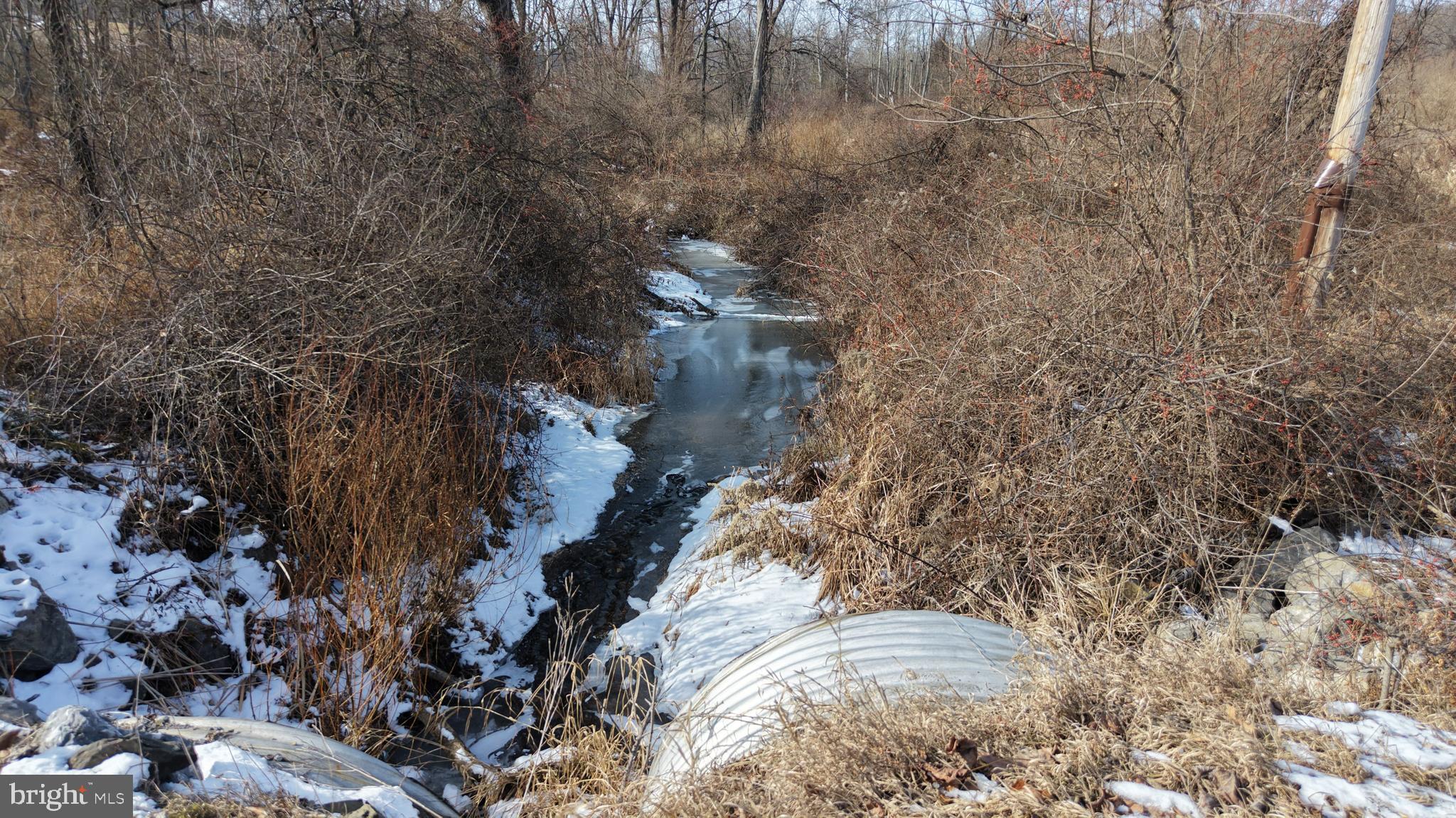 0 Lilac Road Paxinos, PA 17860 - Photo 12 of 21 a view of outdoor space and a yard