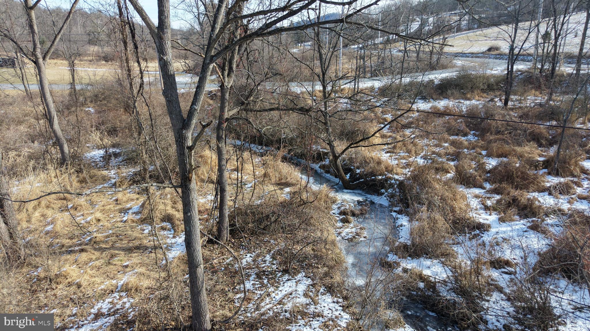 0 Lilac Road Paxinos, PA 17860 - Photo 13 of 21 a view of a yard with plants and trees
