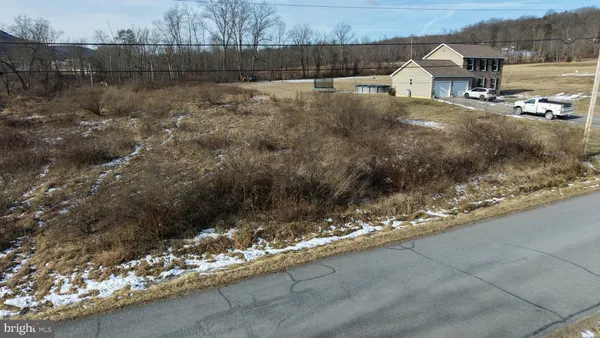 a view of a back yard