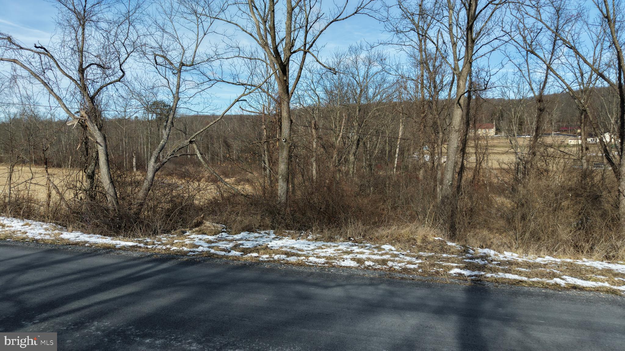 0 Lilac Road Paxinos, PA 17860 - Photo 8 of 21 a view of tree next to a building