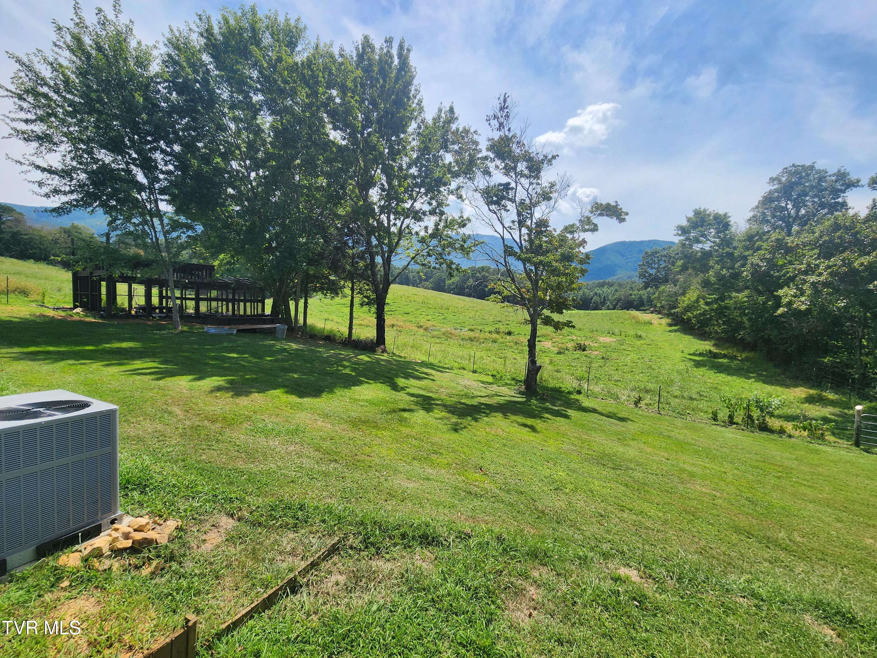 1710 Gosnell Susong Road Greeneville, TN 37743 - Photo 19 of 23 Rear Yard
