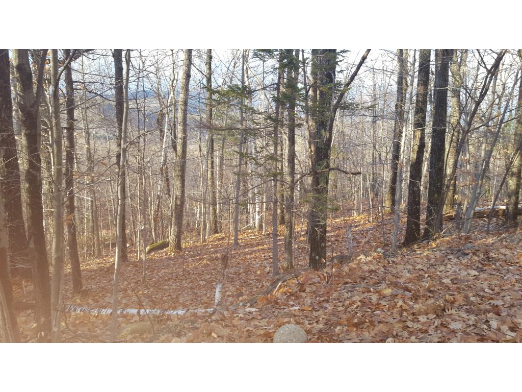 4 Forclaz Road Madison, NH 03849 - Photo 23 of 40